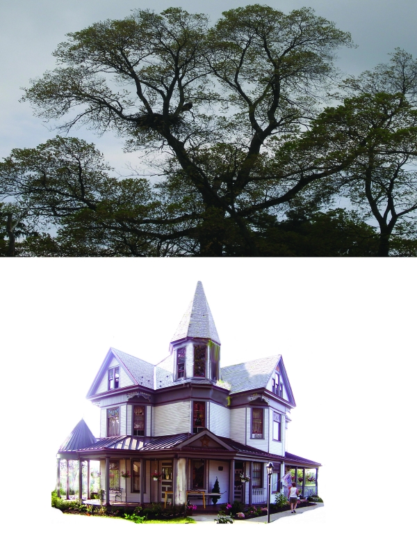 Creation of Haunted Moon: Step 5